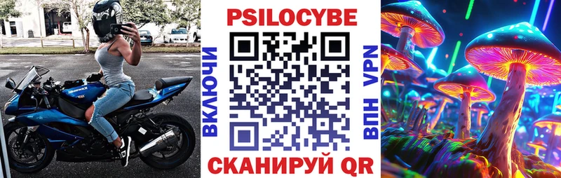 Псилоцибиновые грибы Cubensis  Купить  Славянск-на-Кубани 